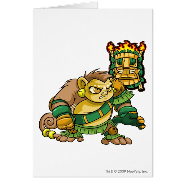 Capitán 1 del equipo de la isla del misterio (Frente)