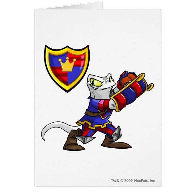 Capitán 1 del equipo de Meridell (Frente)