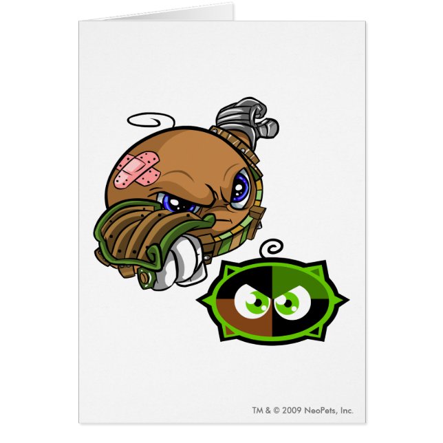 Capitán 1 del equipo del lago Kiko (Frente)