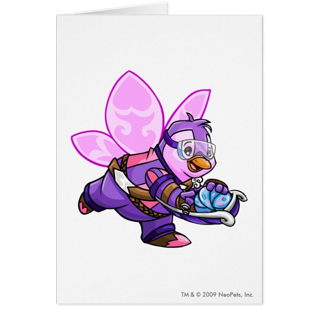 Capitán 2 del equipo de Faerieland (Frente)