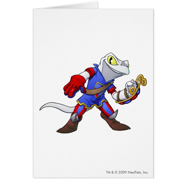 Capitán 2 del equipo de Meridell (Frente)