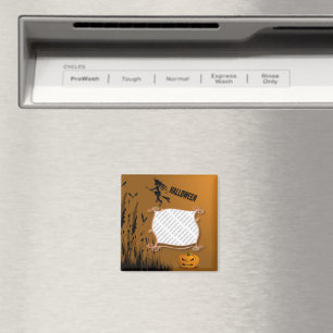 Capítulo de la foto, bruja, imán de la linterna