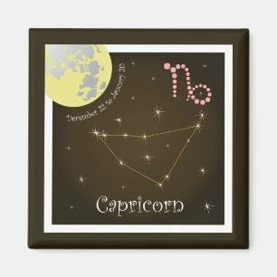 Capricorn December 22 to January 20 imán