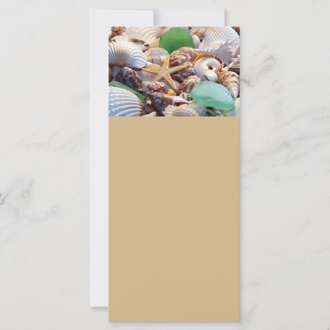 Cápsulas de mariscos, Starfish & Sea Glass Rack Ca (Anverso)