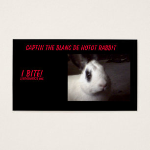 captin001, Captin el Blanc De Hotot Rabbit, I…