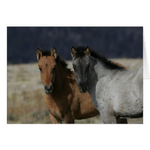 Captura de pantalla de Mustang Foal