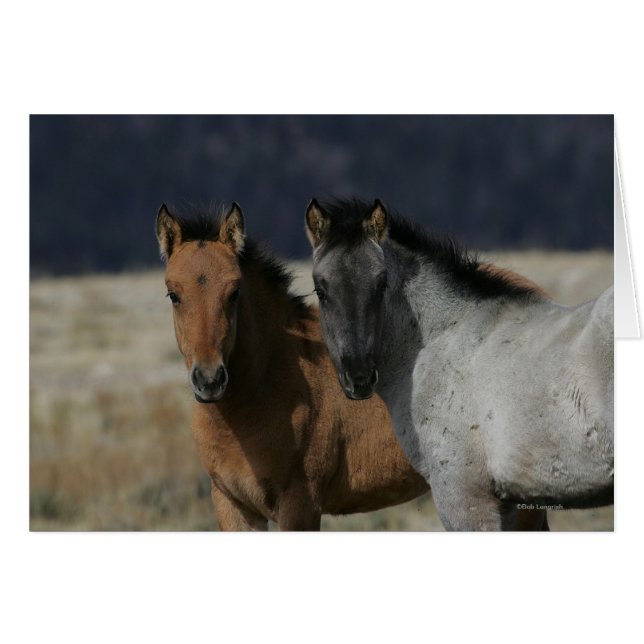 Captura de pantalla de Mustang Foal (Anverso (Horizontal))