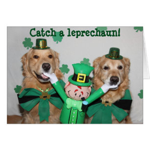 Captura del golden retriever un Leprechaun