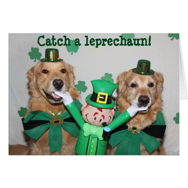 Captura del golden retriever un Leprechaun (Anverso (Horizontal))