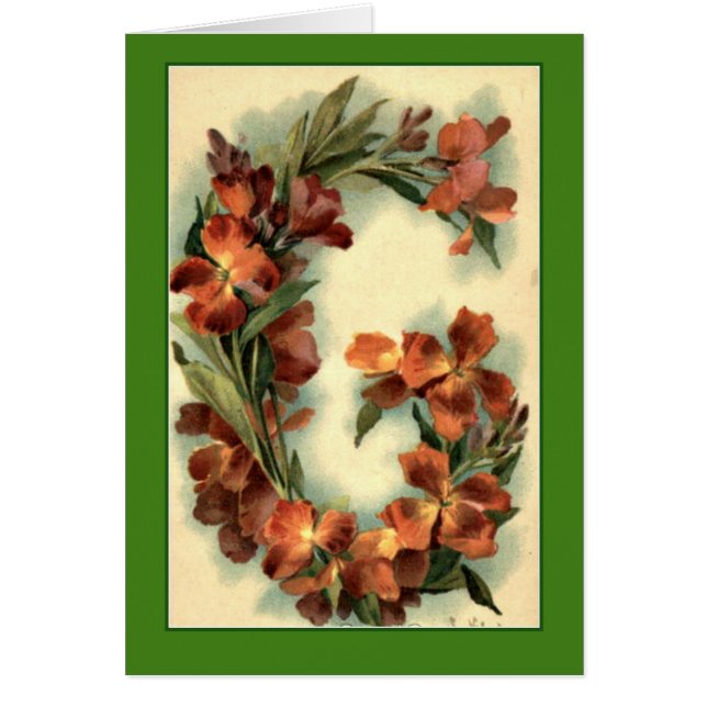 Capuchinas del naranja de G de la letra del (Frente)