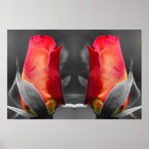 Capullo de Rosa Roja Arte Floral Espejo Color Parc