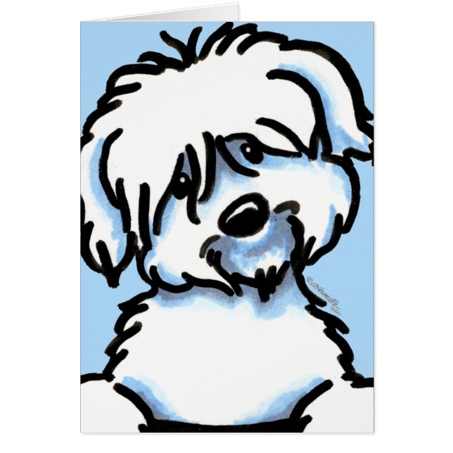 Cara blanca de algodón de tulear (Frente)