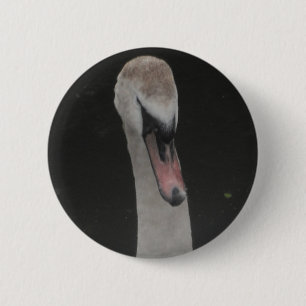 Cara de Cisne Bebé Botón