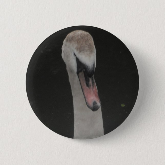 Cara de Cisne Bebé Botón (Anverso)