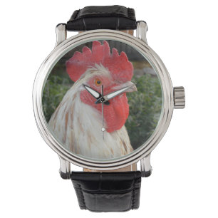 Cara de gallo blanco marrón, reloj de cuero para h