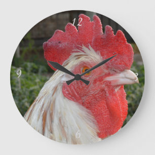 Cara de gallo blanco marrón, reloj de pared redond