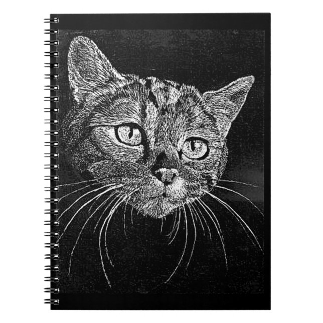 Cara de gato... CUADERNO DE VIAJE (Frente)