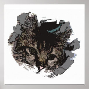 Cara de gato - Ojos de impresión de Poster de gato