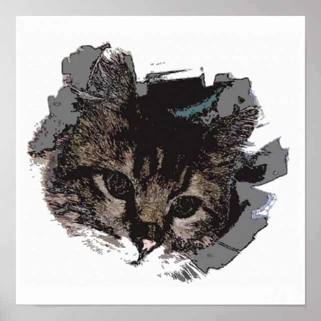 Cara de gato - Ojos de impresión de Poster de gato (Frente)
