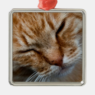 Cara de gato Ornamento cuadrado premium