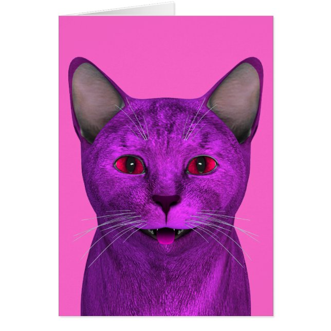 Cara de Kitty Pink Purple (Frente)