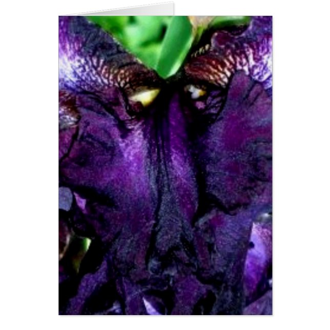 cara de mugre (Frente)