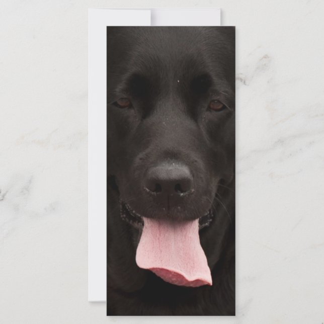 Cara de perro negro (Anverso)