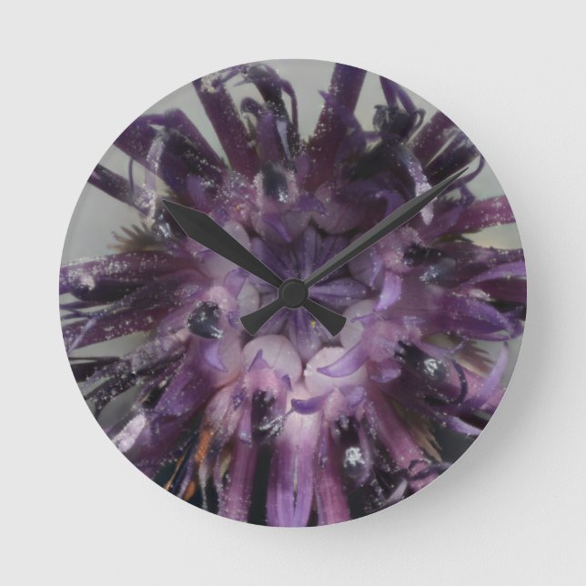 Cara de reloj del Cornflower (Anverso)