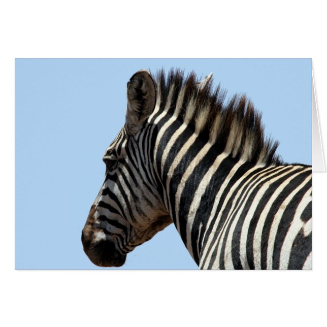 cara de zebra (Anverso (Horizontal))
