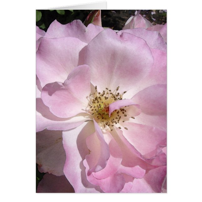 Cara del ángulo subió (Frente)