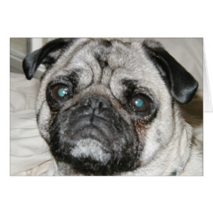 cara del barro amasado