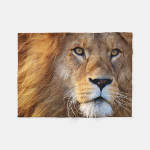 Cara del león con la manta de la melena