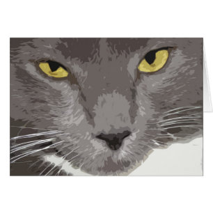 Cara gris artística del gato