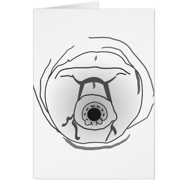 Cara Tardigrado del oso del agua (Frente)