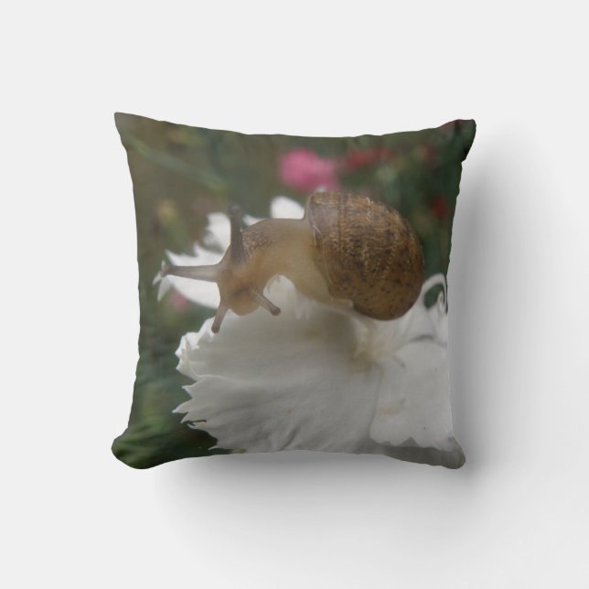 Caracol de jardín y almohada de carnación blanca (Anverso)