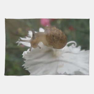 Caracol de jardín y toalla de cocina para claveles