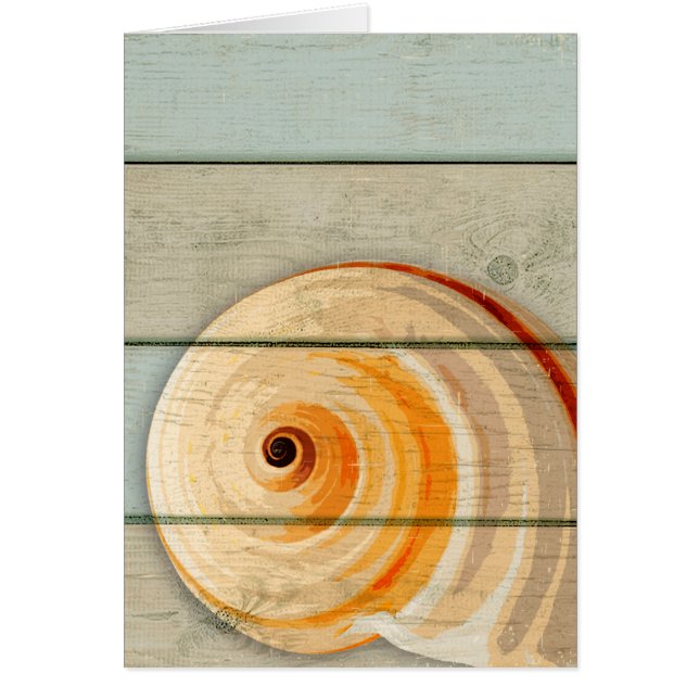 Caracol de la luna (Frente)