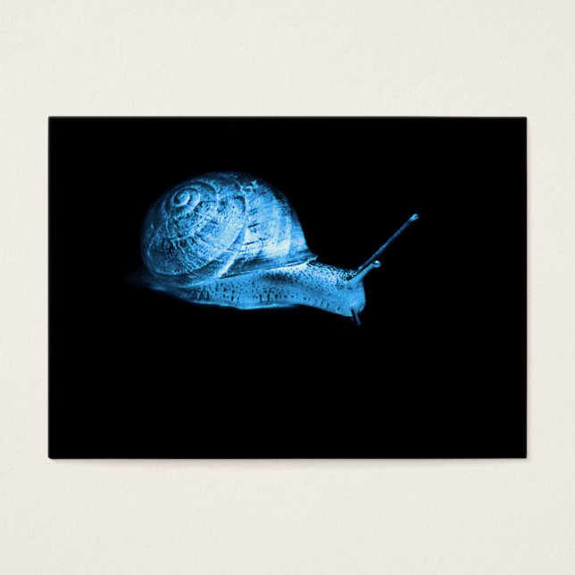 Caracol de neón azul luminoso (Frente)