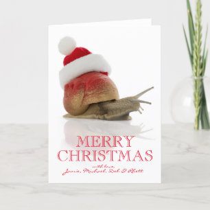 Caracol del navidad