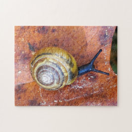 Caracol en rompecabezas de la hoja