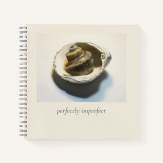 Caracol "perfecto". Cuaderno