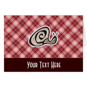 Caracol rojo de la tela escocesa