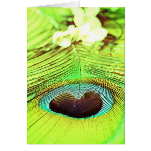 CARACTERÍSTICAS (Frente)