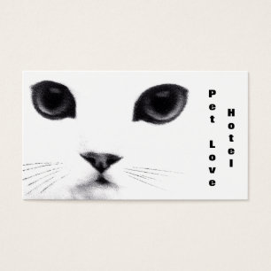 Características clásicas del gato