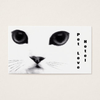 Características clásicas del gato