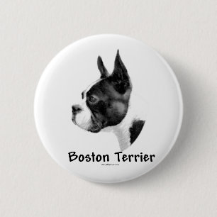 Carbón de Boston Terrier 2 - Botón