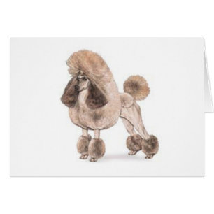 Carbón — Mostrar carne de vaca