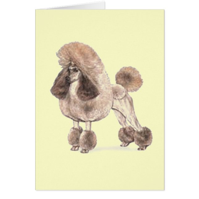 Carbón — Mostrar carne de vaca (Frente)