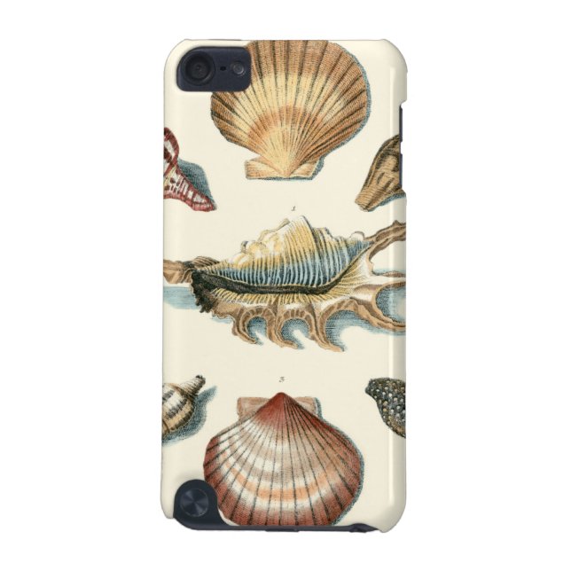 Carcasa Para iPod Touch 5G Fancy Shell Beach (Atrás)