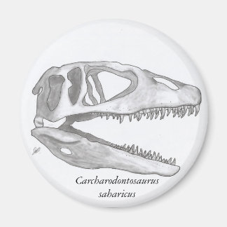 Carcharodontosaurus saharicus cráneo imán